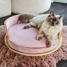 Rumi Velvet Pet Bed